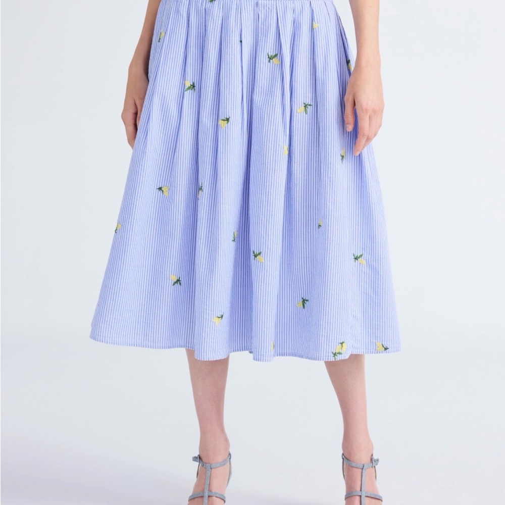 Blue Stripe Floral Embroidered Circle Skirt
